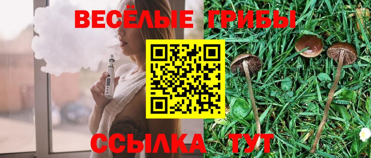 Псилоцибиновые грибы MAGIC MUSHROOMS  Вход с VPN  Свободный 
