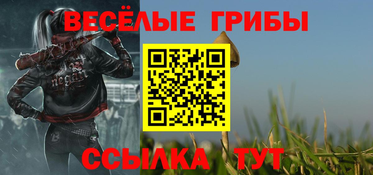 Псилоцибиновые грибы GOLDEN TEACHER Свободный